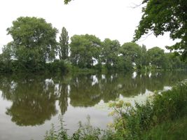 Labe 20 pod mostem v Litoli-12.7.09 (1).JPG